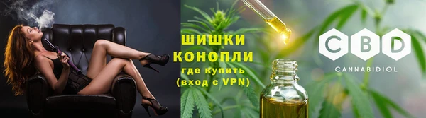 spice Абаза