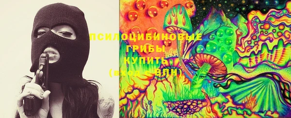 apvp Алексин