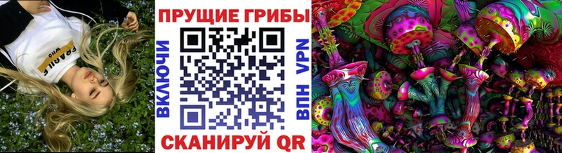 купить закладку  Домодедово  Галлюциногенные грибы мухоморы 